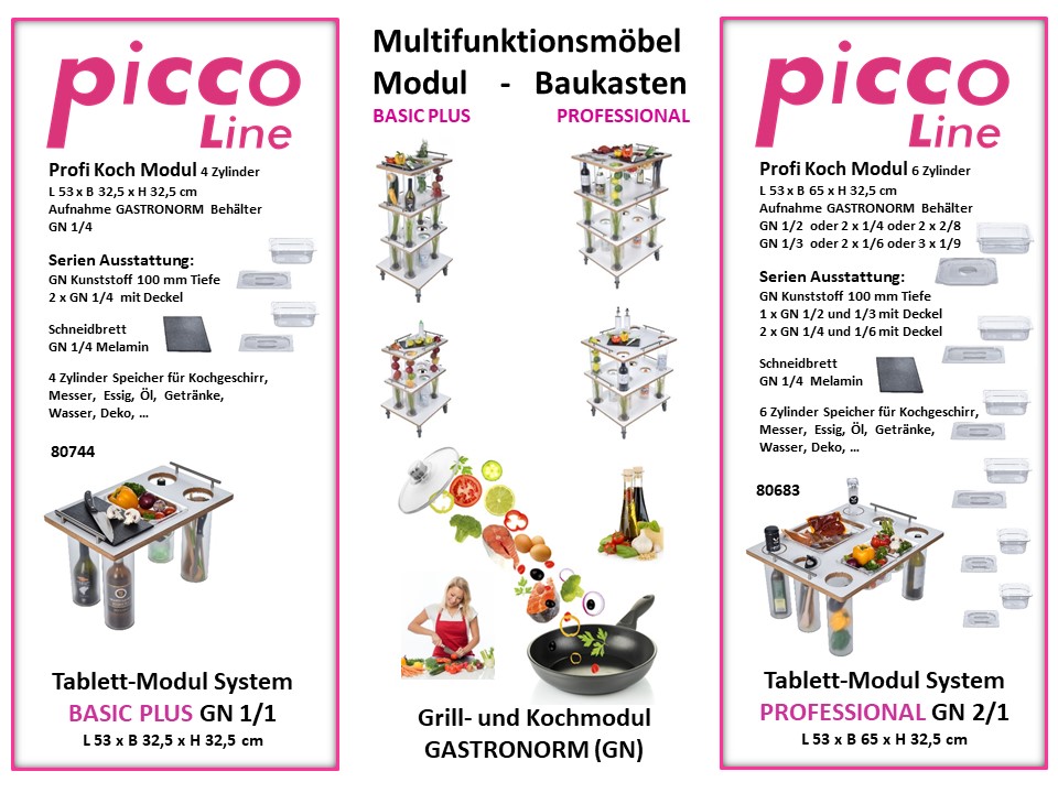 Tablett-Modul System BASIC - PROFESSIONAL Beispiel Grill und Kochmodul
